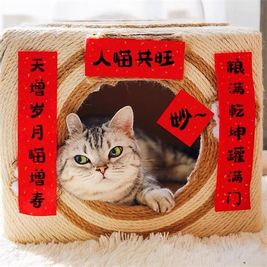 原年人新姿势 线上过年，亮眼宠物销售成新风尚