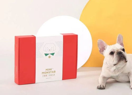 宠物经济与跨界融合 资本涌动下的品牌新动向